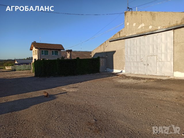 ЗЪРНОБАЗА АГРО БАЛАНС с.БРАНИЩЕ, снимка 4 - Складове - 14236202