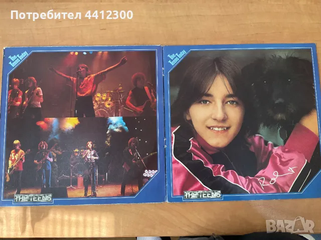 Грамофонни плочи 12”, снимка 4 - Грамофонни плочи - 49732547