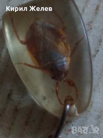 Ключодържател 23961, снимка 3 - Декорация за дома - 33504309