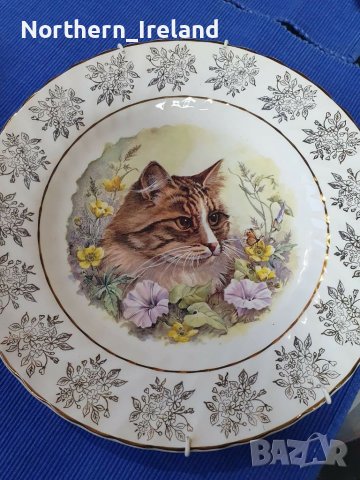 Колекционерски чинии за стена с котки , снимка 3 - Декорация за дома - 39749553