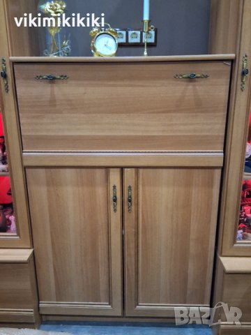 витрина за документи/ колекции със заключване., снимка 6 - Секции и витрини - 43812962