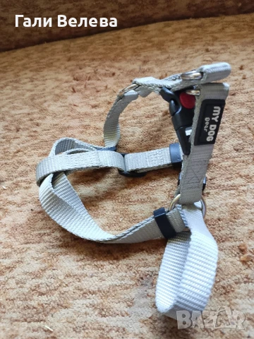 Нагръдник за куче