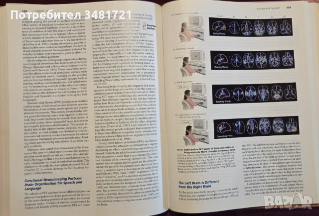 Biological Psychology. An Introduction to Behavioral, Cognitive and Clinical Neuroscience, снимка 16 - Специализирана литература - 53251130