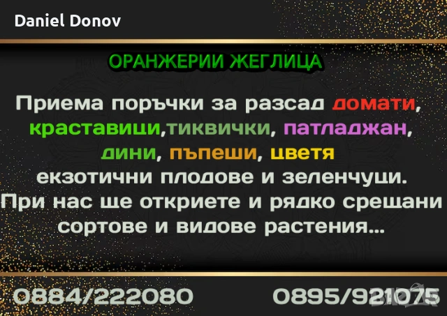 Приемаме поръчки за разсад домати, краставици, тиквички, патладжан, дини, пъпеши, цветя, екзотични, снимка 1 - Разсади - 52473586