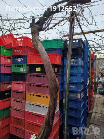 купува каси за месо и колбаси-плътни 60/40/20см.и други .плащане веднага в брой на място., снимка 2 - Друго търговско оборудване - 31417694