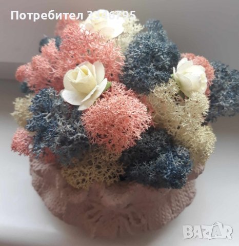 Кашпа със скандинавски мъх. , снимка 9 - Други - 44117016