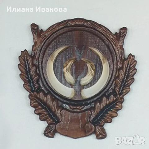 Поставки за ловни трофеи - за Глиги - Модел 5, снимка 5 - Пана - 12206738