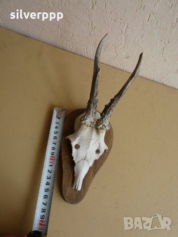  Малко немско трофейче - 3 