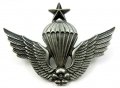 Пилотски знаци-Парашутисти-Военни знаци-Военни емблеми-Редки знаци, снимка 1