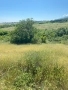 земеделска земя намираща в землището на село Белащица и Марково, снимка 3