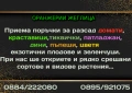 Приемаме поръчки за разсад домати, краставици, тиквички, патладжан, дини, пъпеши, цветя, екзотични, снимка 1
