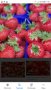 продавам расад ягоди и малини, снимка 5