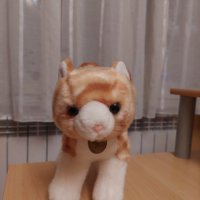Плюшена играчка коте Aurora Miyoni, снимка 1 - Плюшени играчки - 43416402