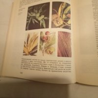 Атлас по Ботаника -Сл.Петров,Е.Паламарев, снимка 5 - Енциклопедии, справочници - 43062394