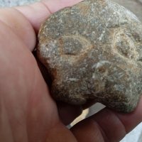 4бр интересни фосили, вкаменелости , снимка 7 - Антикварни и старинни предмети - 37180097