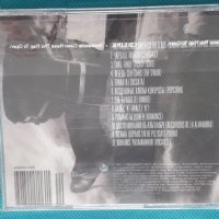 Виктор Зинчук – 2005 - Двенадцать Гитар Магистра(Soft Rock), снимка 2 - CD дискове - 43778164