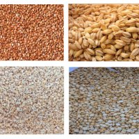 Зърнени култури от производителя, снимка 1 - Домашни продукти - 38379704