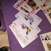 Royal Playing Cards STR-карти  за игра нови пластик  в метална кутия, снимка 3 - Карти за игра - 33622282