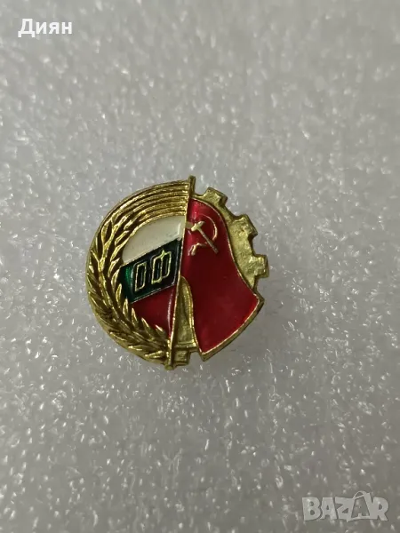 Значка Отечествен Фронт, снимка 1