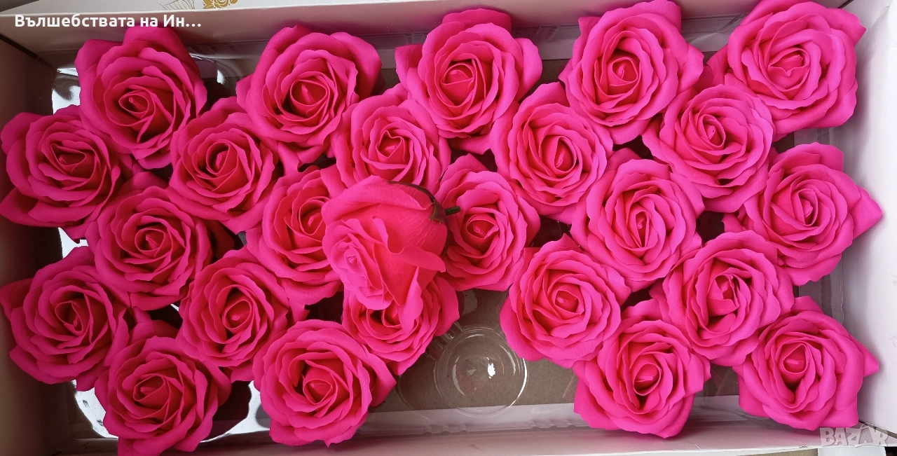 Декоративни рози , снимка 1