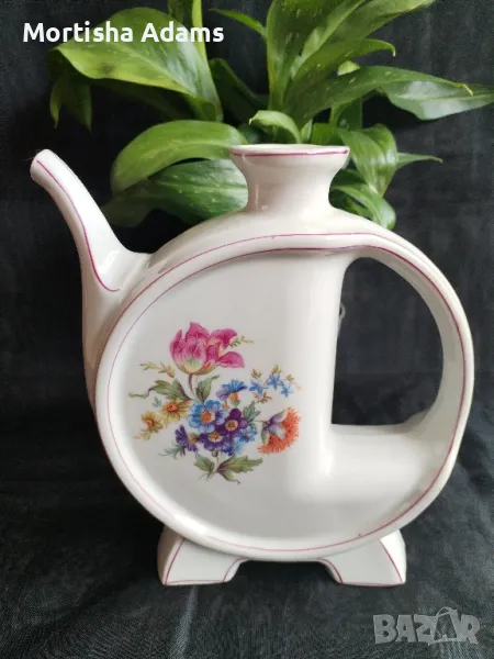 Бърдуче SW, снимка 1