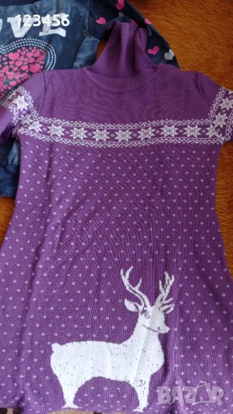 Есенно-зимни блузи и пуловери за момичета, снимка 1