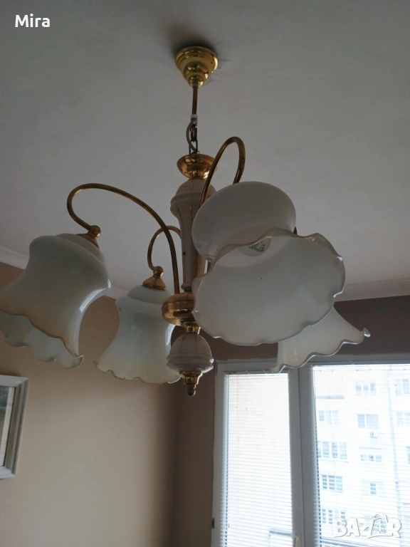 Полилей, снимка 1