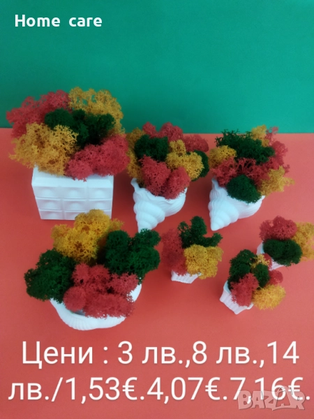 Подарък за всеки , снимка 1