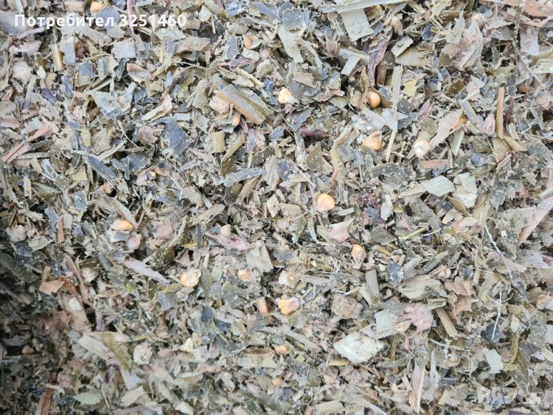 Царевичен силаж, снимка 1