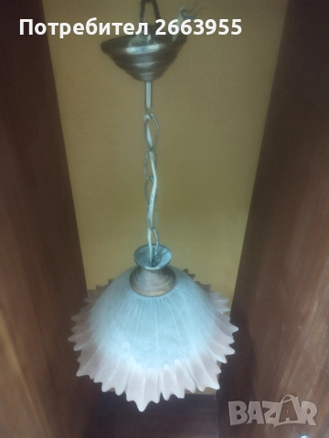 полилеи , снимка 2 - Полилеи - 52639372