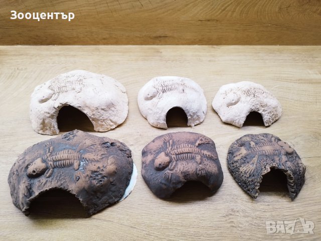 Керамични укрития Fossil stone brown, снимка 3 - Терариуми и оборудване - 43627030