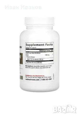 Лъвска грива lion’s mane капсули, снимка 2 - Хранителни добавки - 48955866