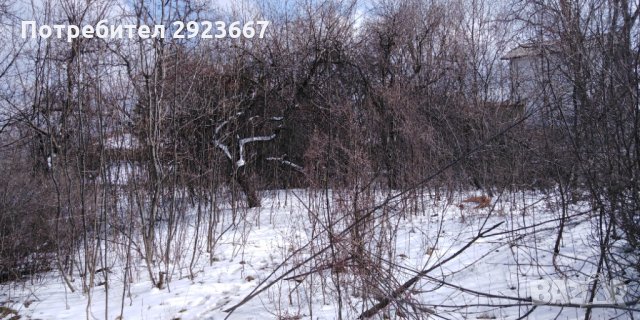 Рязане и кастрене на високи и опасни дървета-абонаментна поддръжкаа , снимка 8 - Градинска техника - 33061758