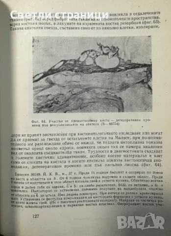 Морфологична диагностика на стоматологичните заболявания Славчо Давидов, Кирил Попов, снимка 2 - Специализирана литература - 48316297