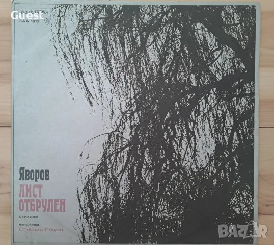 Грамофонна плоча Яворов Лист Отбрулен, снимка 1