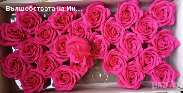 Декоративни рози 