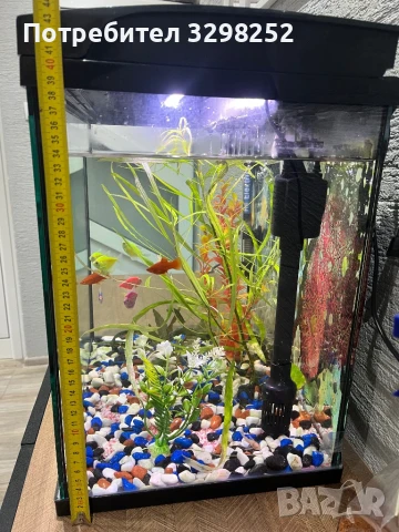 Аквариум, снимка 5 - Оборудване за аквариуми - 50885634