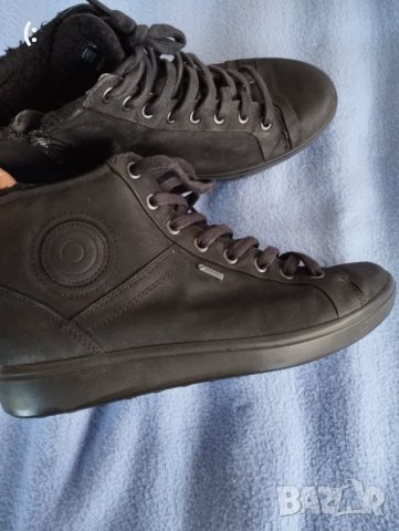 Ecco coretex номер 38.