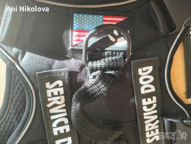 Сет за служебно куче, снимка 4 - За кучета - 50042121