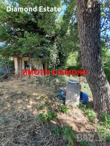 Къща с парцел в село Крепост общ. Димитровград, снимка 4 - Къщи - 47691123