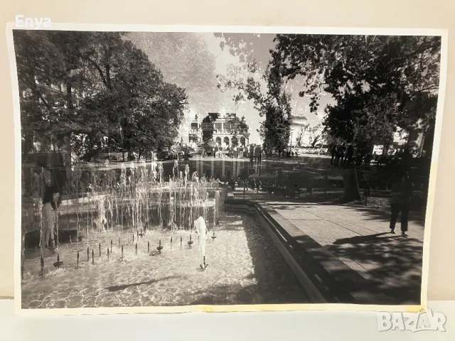 Фотографии 