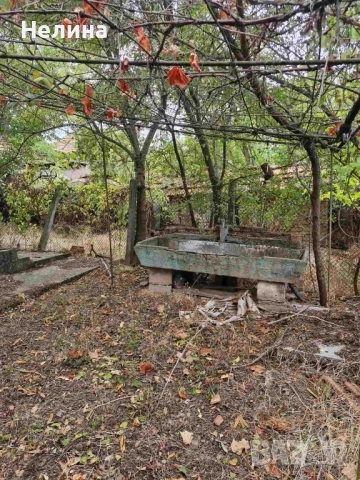 Къща в с. Сливата , снимка 4 - Къщи - 51910824