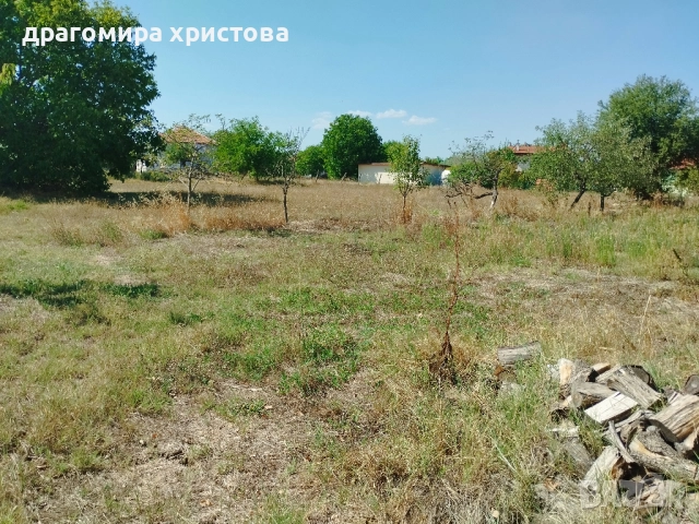 Къща с двор в с.Кабиле, снимка 2 - Къщи - 51869216