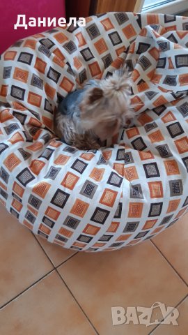 Барбарон (пуф) за куче, снимка 2 - За кучета - 32319580