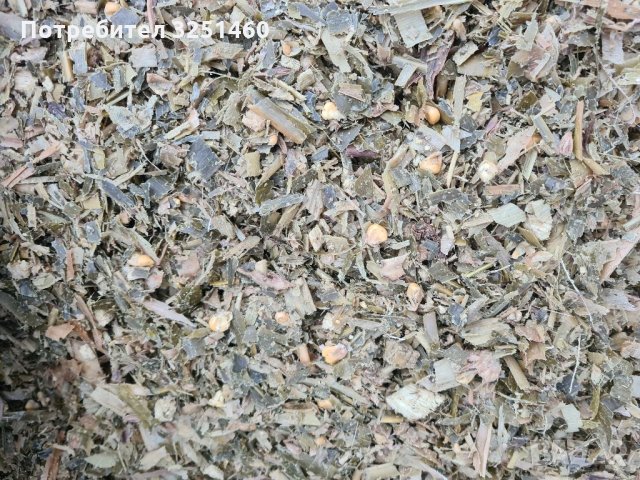 Царевичен силаж