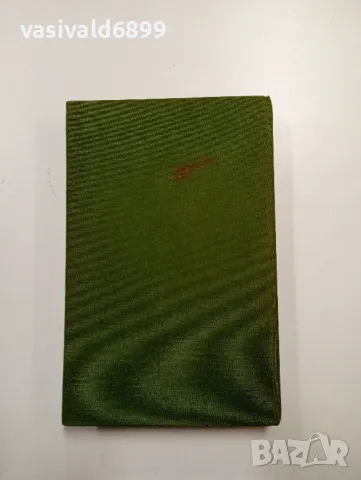 Павло Загребелни - Лъвско сърце , снимка 3 - Художествена литература - 48415627