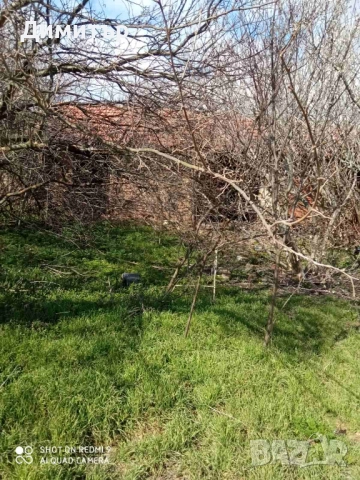 Парцел със стара постройка в с. Оряхово, общ. Любимец, снимка 8 - Парцели - 52052897