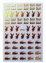 FAM-046 D&G Playboy Lacoste лого марки златни лепенки нокти маникюр декорация самозалепващи ваденки