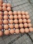 Изкуствени пластмасови яйца за кокошки тежки, снимка 11
