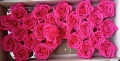 Декоративни рози , снимка 1